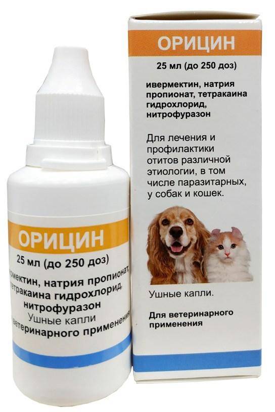 Ушные капли для кошек: применение препаратов