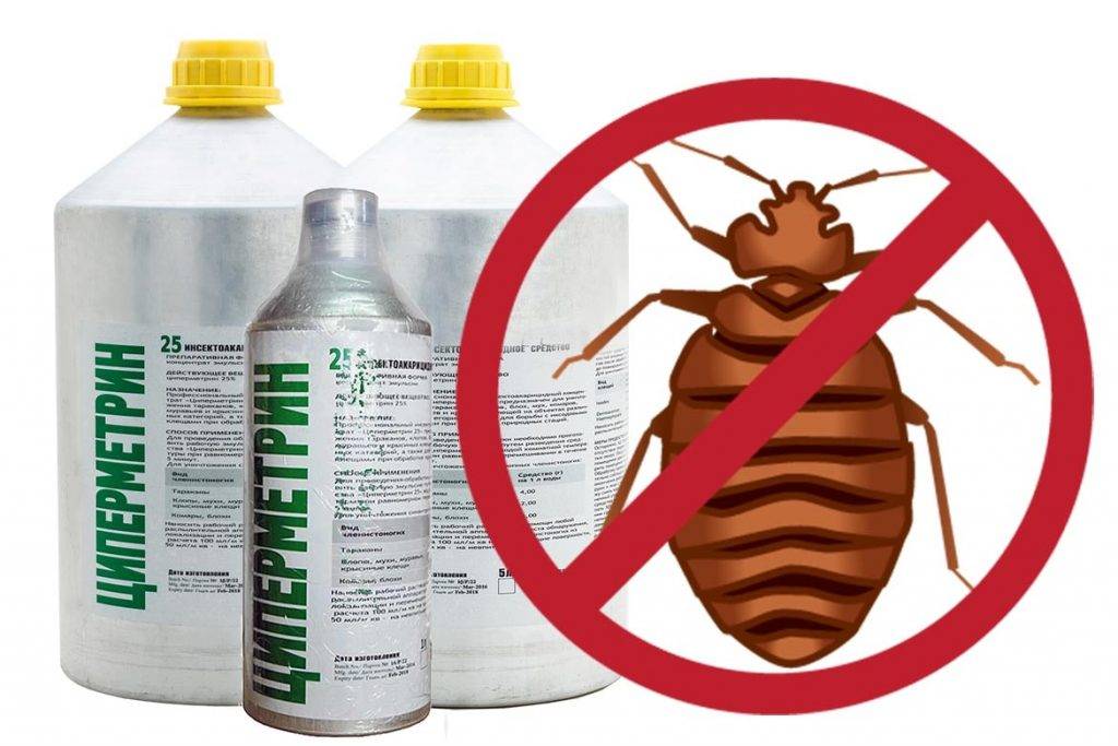 Как выбрать гель от тараканов с хорошим инсектицидным эффектом: обзор эффективных средств