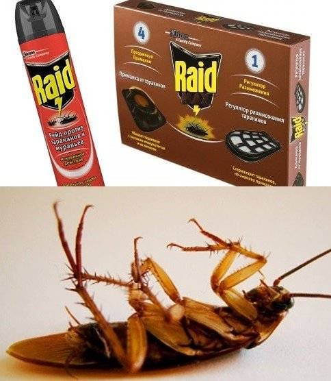 Тотальная борьба с насекомыми: средство raid от тараканов