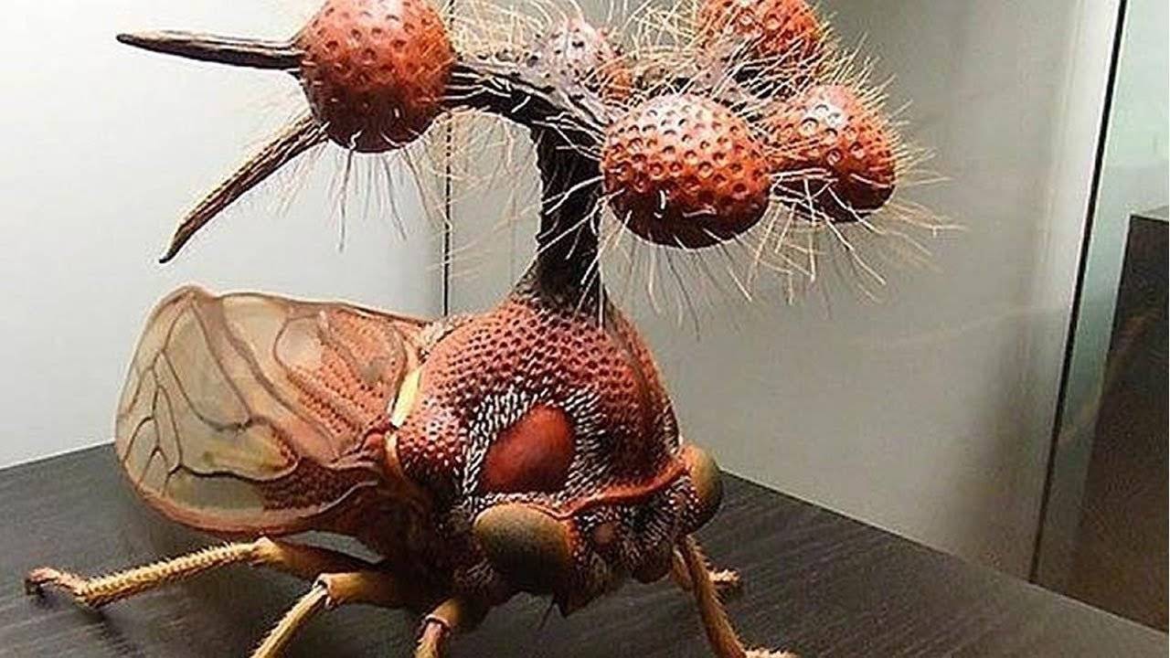 Самые опасные насекомые: незаметная угроза
