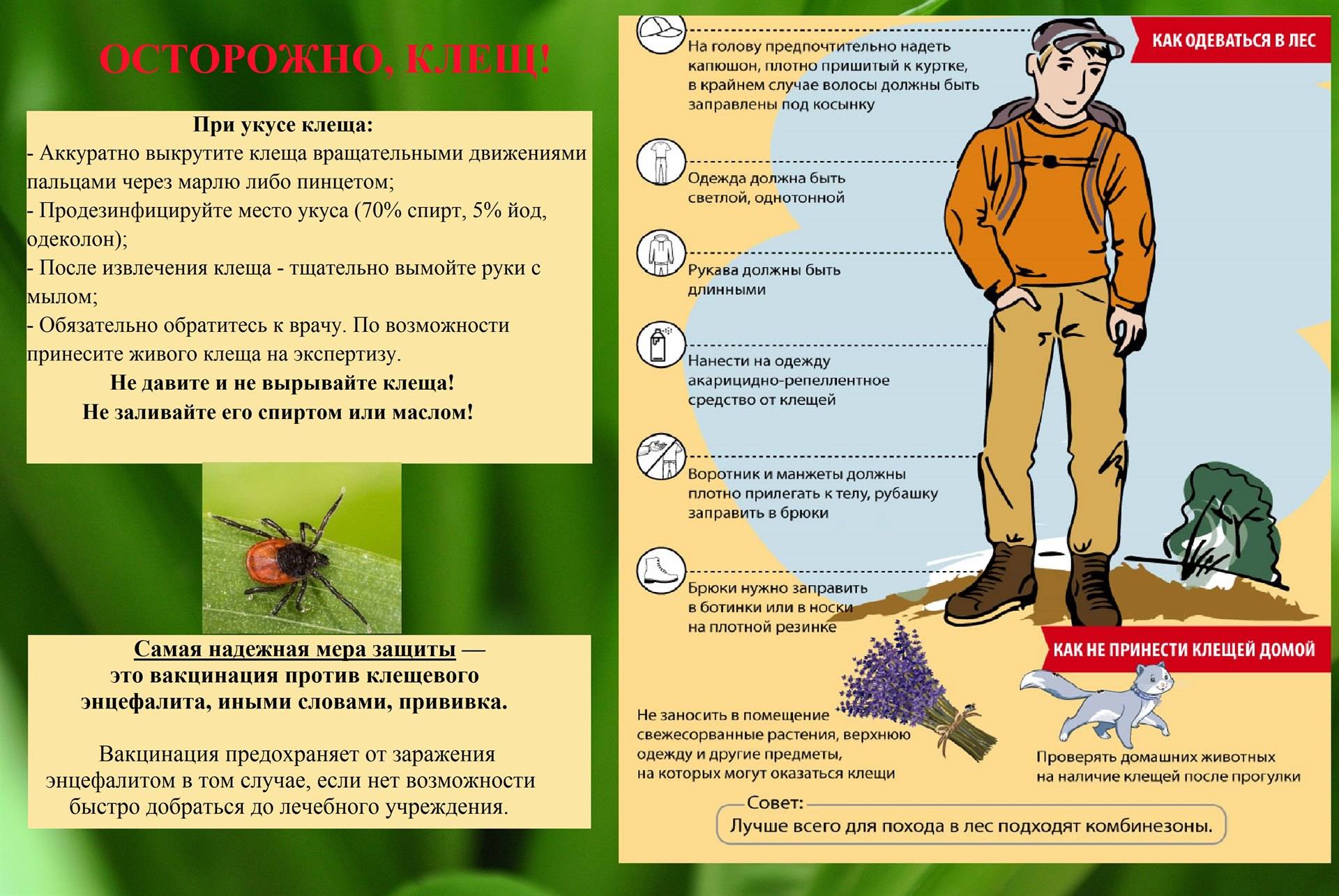 Симптомы и лечение энцефалита - medside.ru