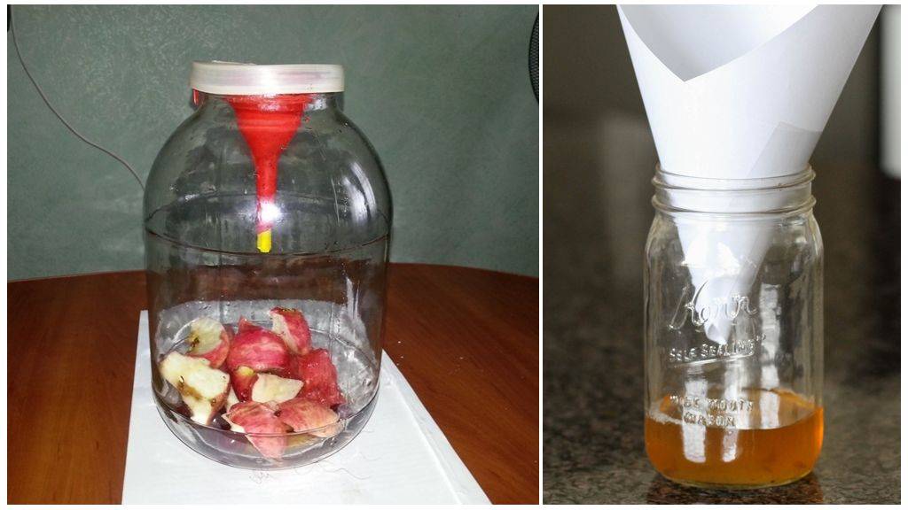 Ловушка для мух и мошек своими руками: из пластиковой бутылки, липучка, в домашних условиях