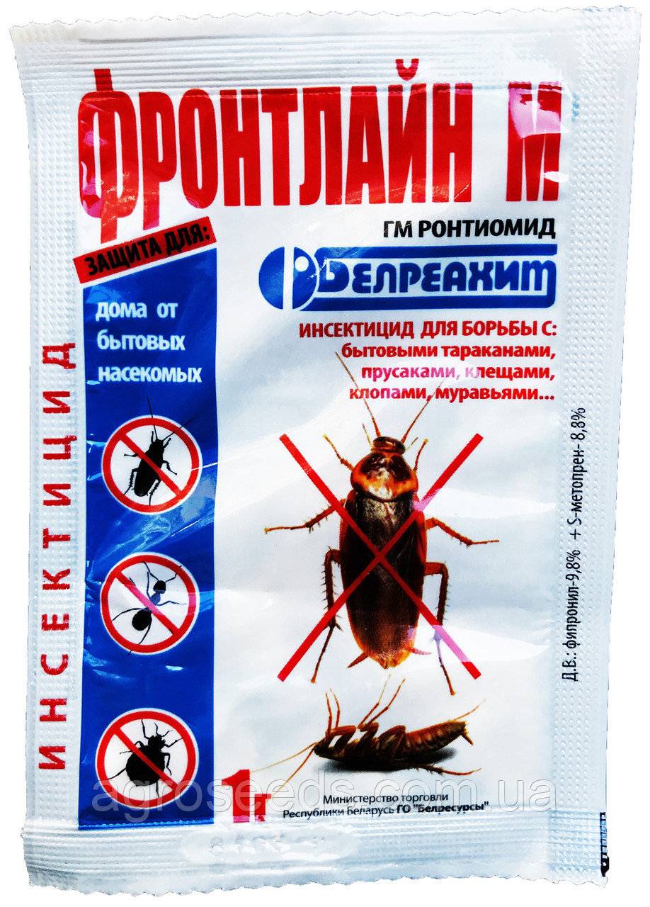 Тараканы в квартире: не беда, подберем самое эффективное средство