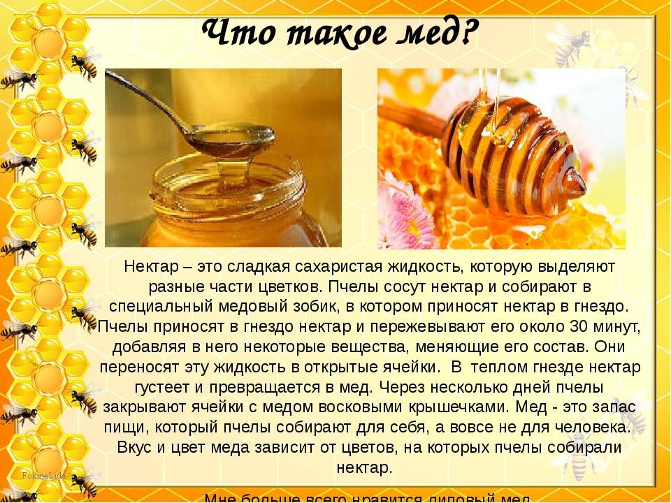 Проект про мед