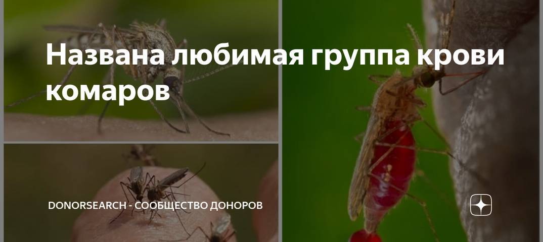 Какую группу крови любят комары?