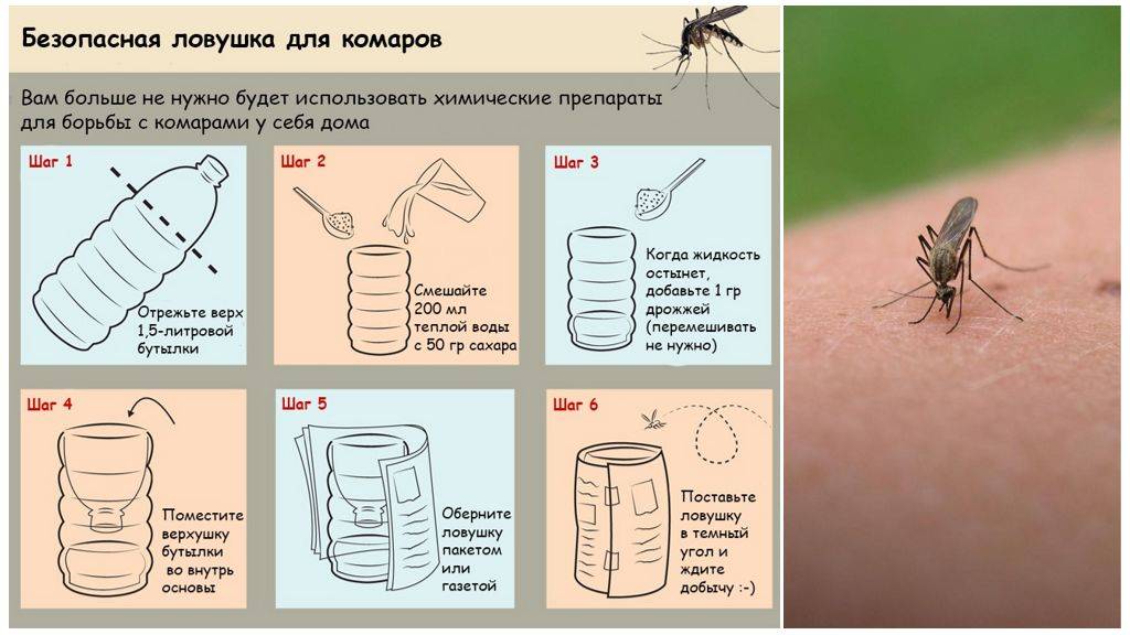 Какие средства помогут избавиться от комаров дома и на улице