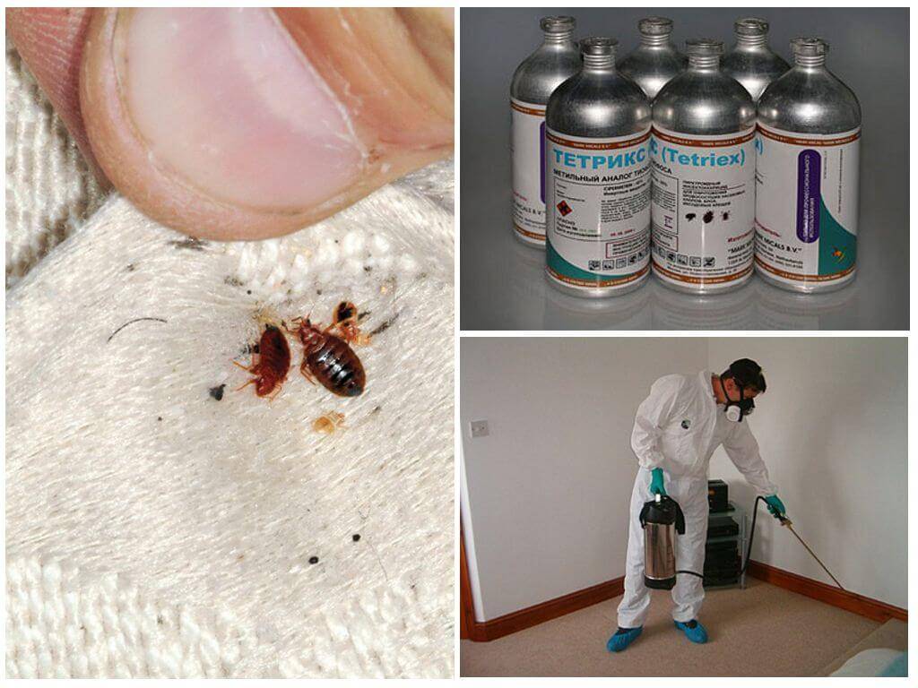 Bed bugs killer pro (клоповерон): инструкция по применению и отзывы, купить в москве и спб