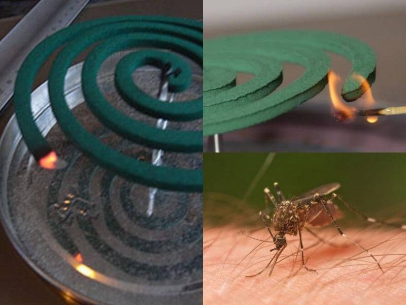 Спирали от комаров: принцип действия, как пользоваться, обзор средств от разных брендов, отзывы
