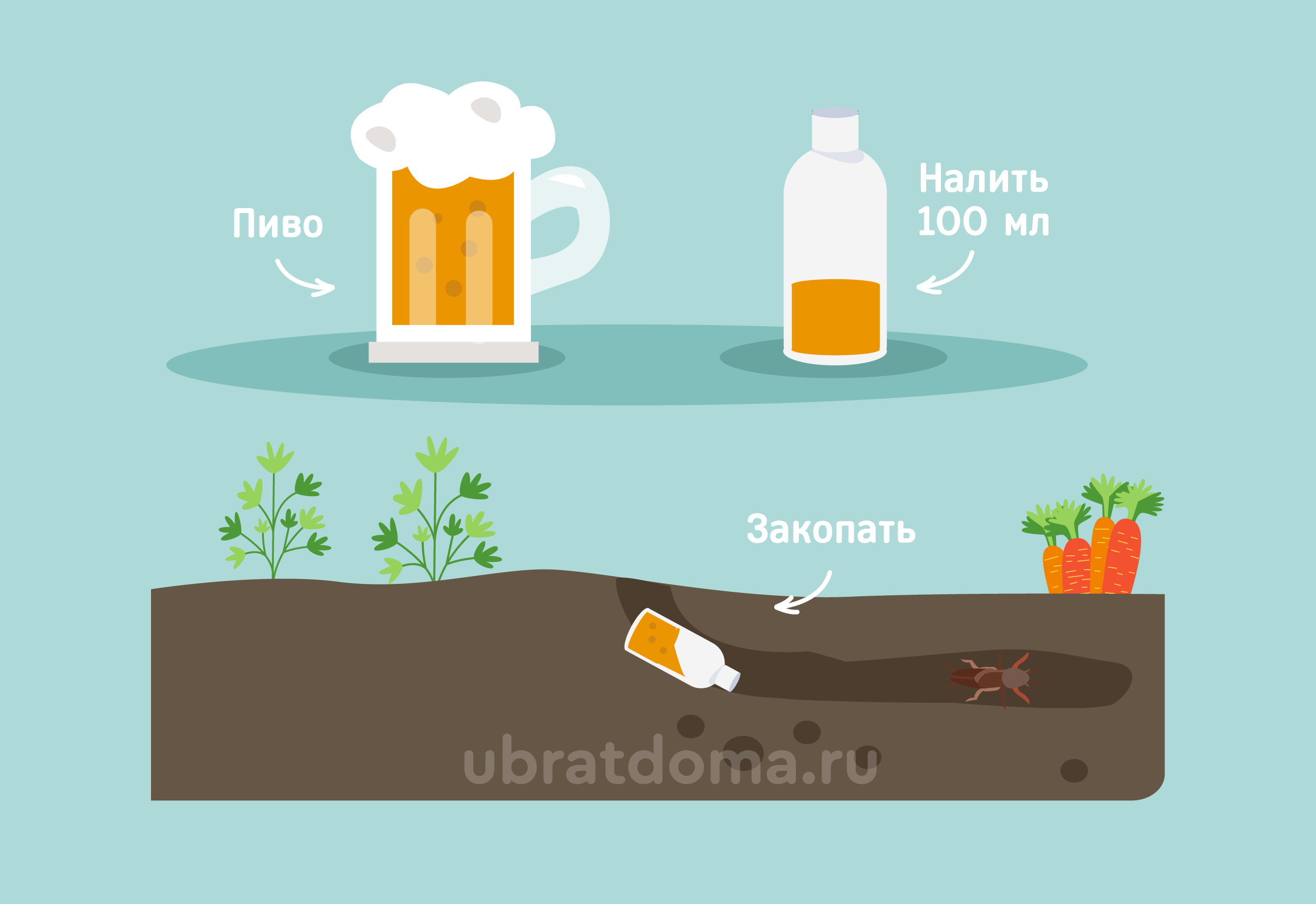 Вредитель медведка – народные методы борьбы, как ловить медведок на огороде, как отпугнуть медведку | мир садоводства
