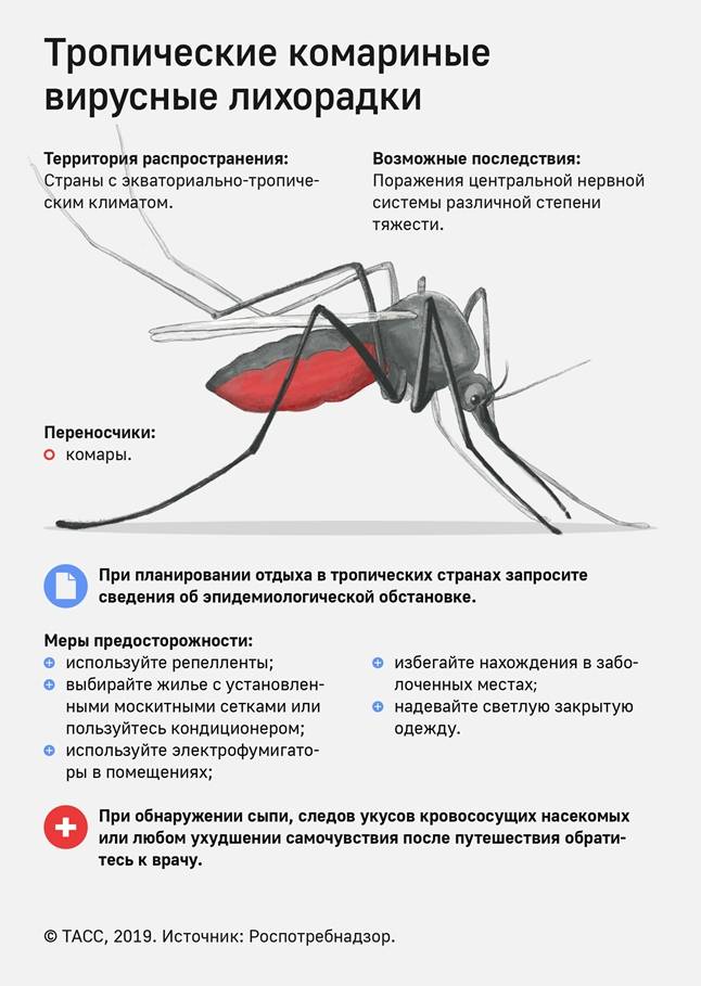 Может ли комар заразить спидом или вич?
