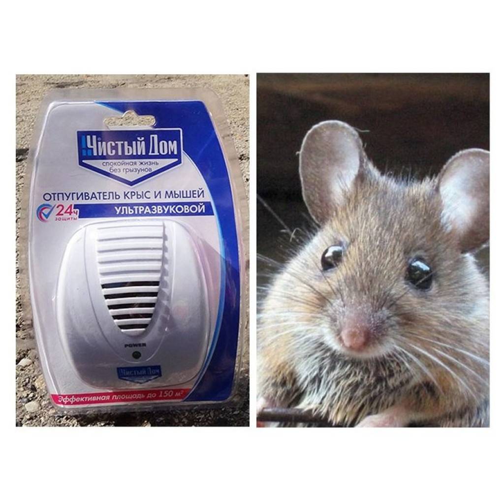 Ультразвуковой отпугиватель от крыс и мышей чистый дом
