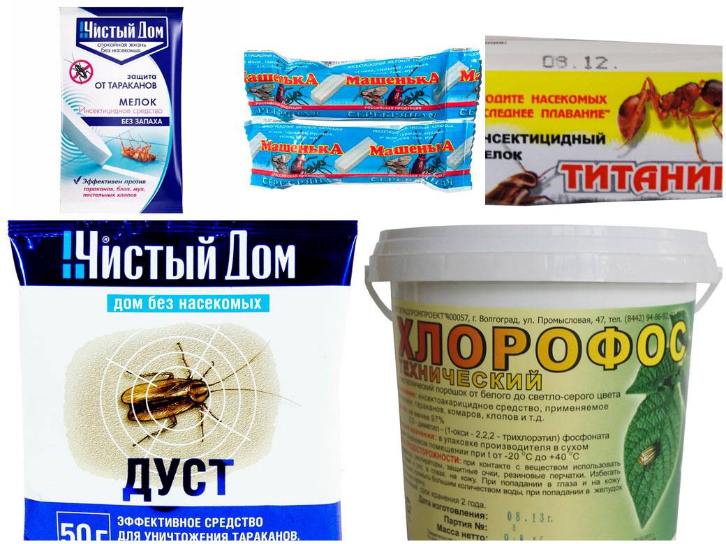 Как с помощью дуста избавиться от клопов
