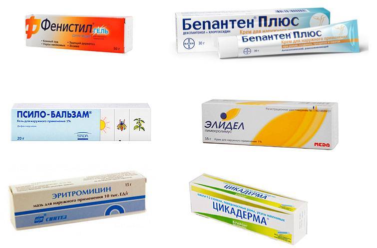 Чем лучше намазаться чтобы не кусали клопы