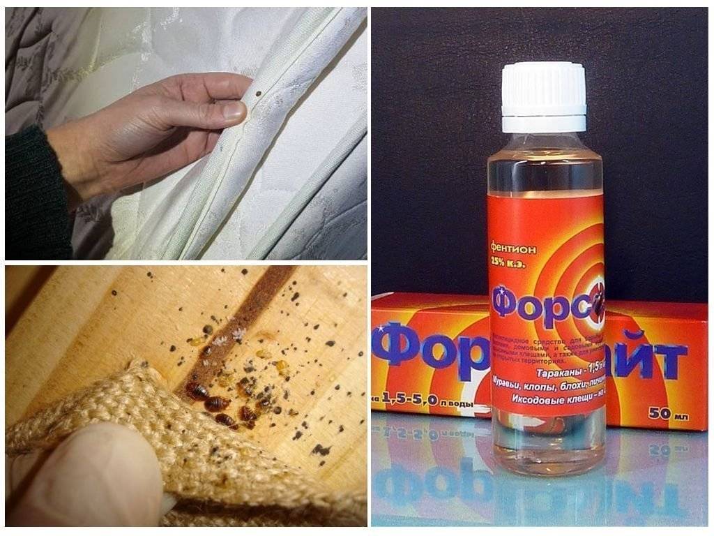 Укусы постельных клопов