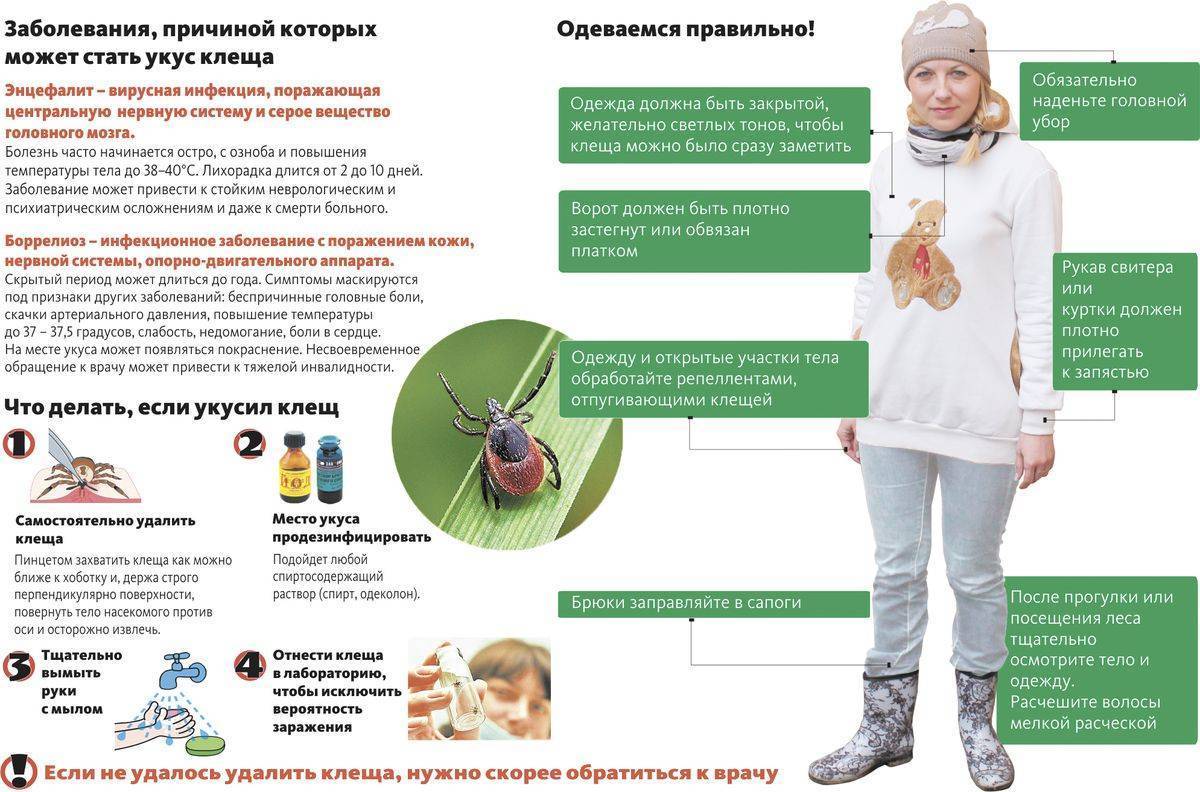 Уничтожение пылевых клещей