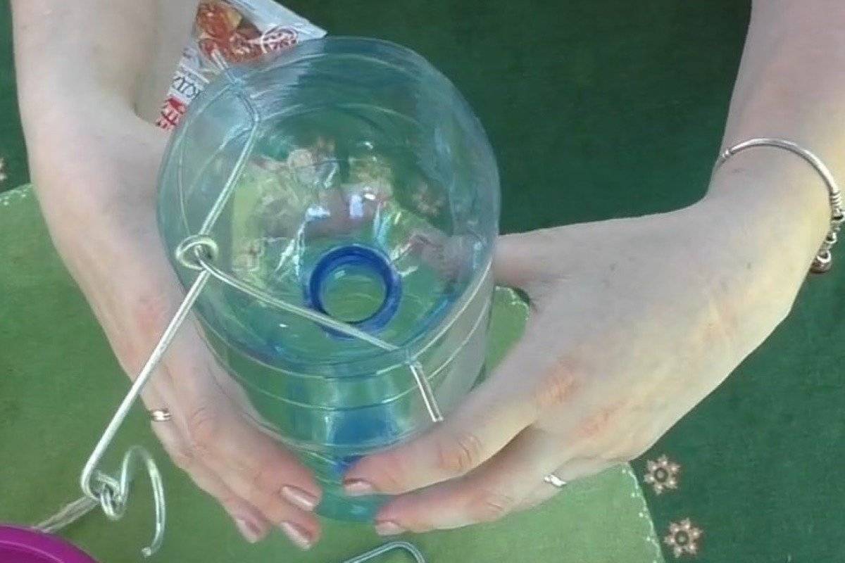 Ловушка для ос из пластиковой бутылки своими руками: 5 лучших приманок