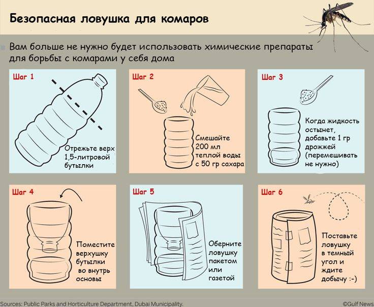 Самодельная ловушка для комаров - пошаговая инструкция по изготовлению разных видов изделия