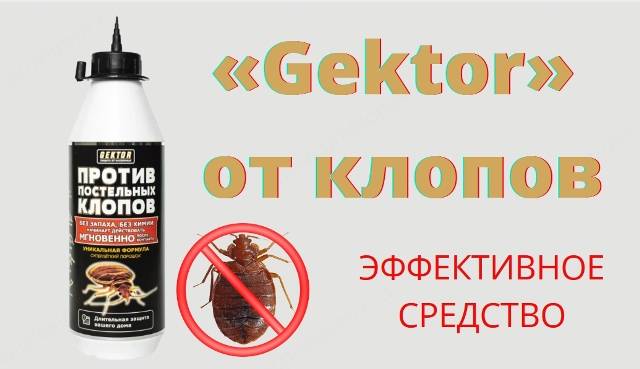 Инсектицидные средства гектор от постельных клопов и других насекомых