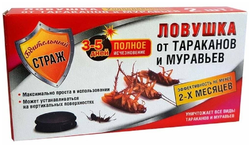 Чего боятся тараканы и как от них избавиться