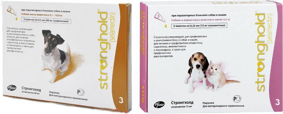 Капли стронгхолд для собак от клещей - отзывы и инструкции к применению