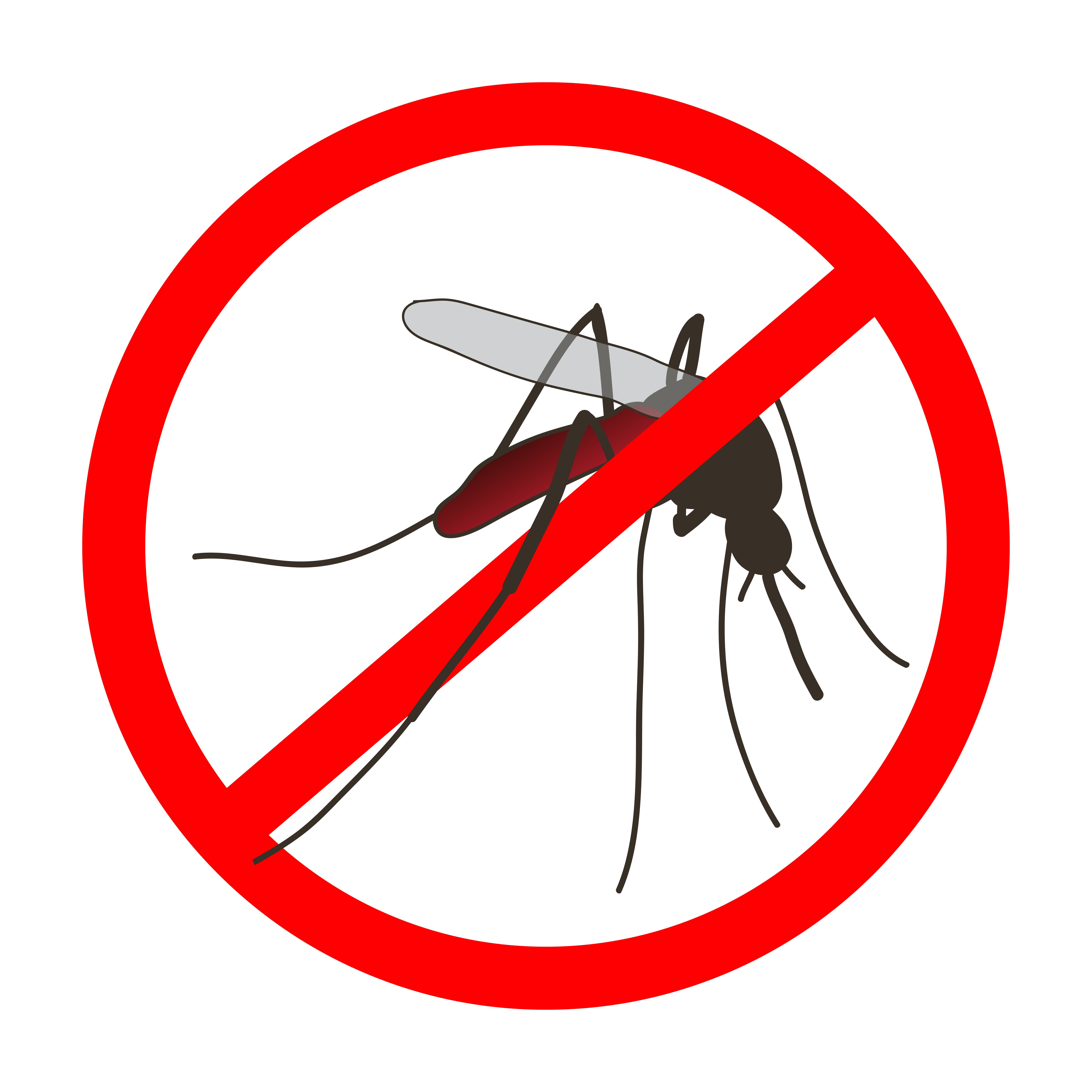 Что означает образ комара во сне – толкования по сонникам и согласно народным поверьям