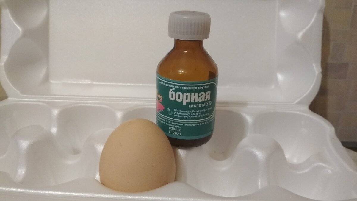 Борная кислота от тараканов: рецепт с яйцом, отзывы, пропорции, инструкция по применению