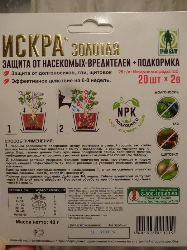 Щитовка на комнатных растениях: как избавиться - специалисты советуют