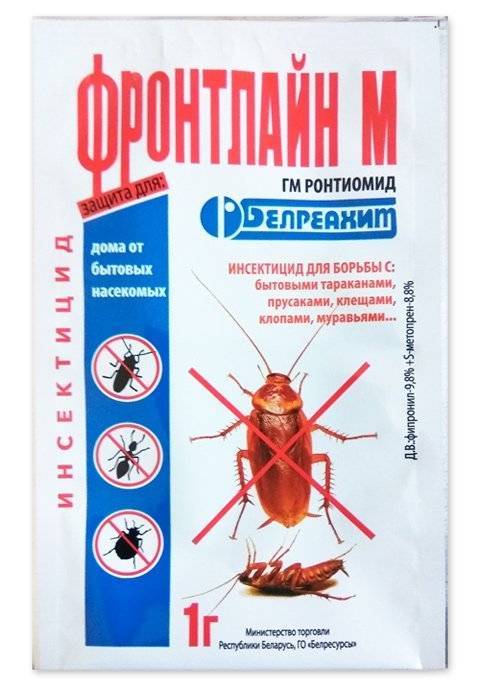 Эффективные народные средства от тараканов: рецепты приготовления, советы по применению