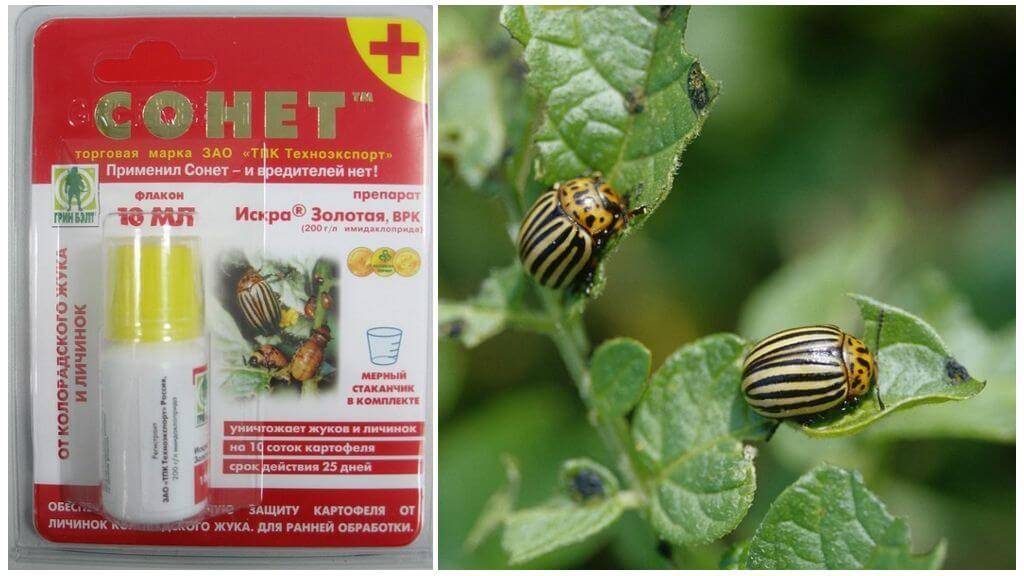Инсектициды - список препаратов для борьбы с вредителями растений