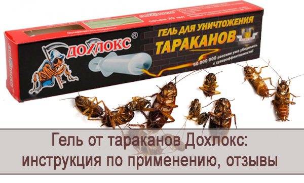 "дохлокс" инсектицид от тараканов. как выбрать самый эффективный
