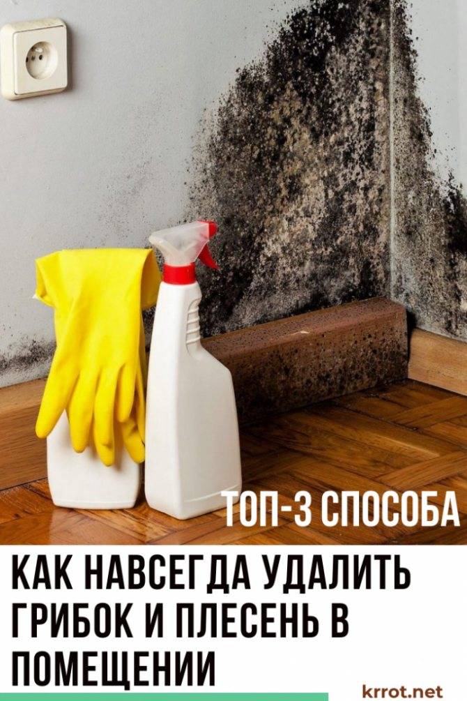 25 химических и народных средств, как быстро удалить плесень со стен в квартире и доме