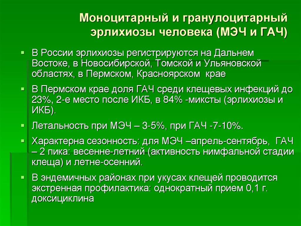Риккетсиоз и эрлихиоз: симптомы риккетсии у человека - medside.ru
