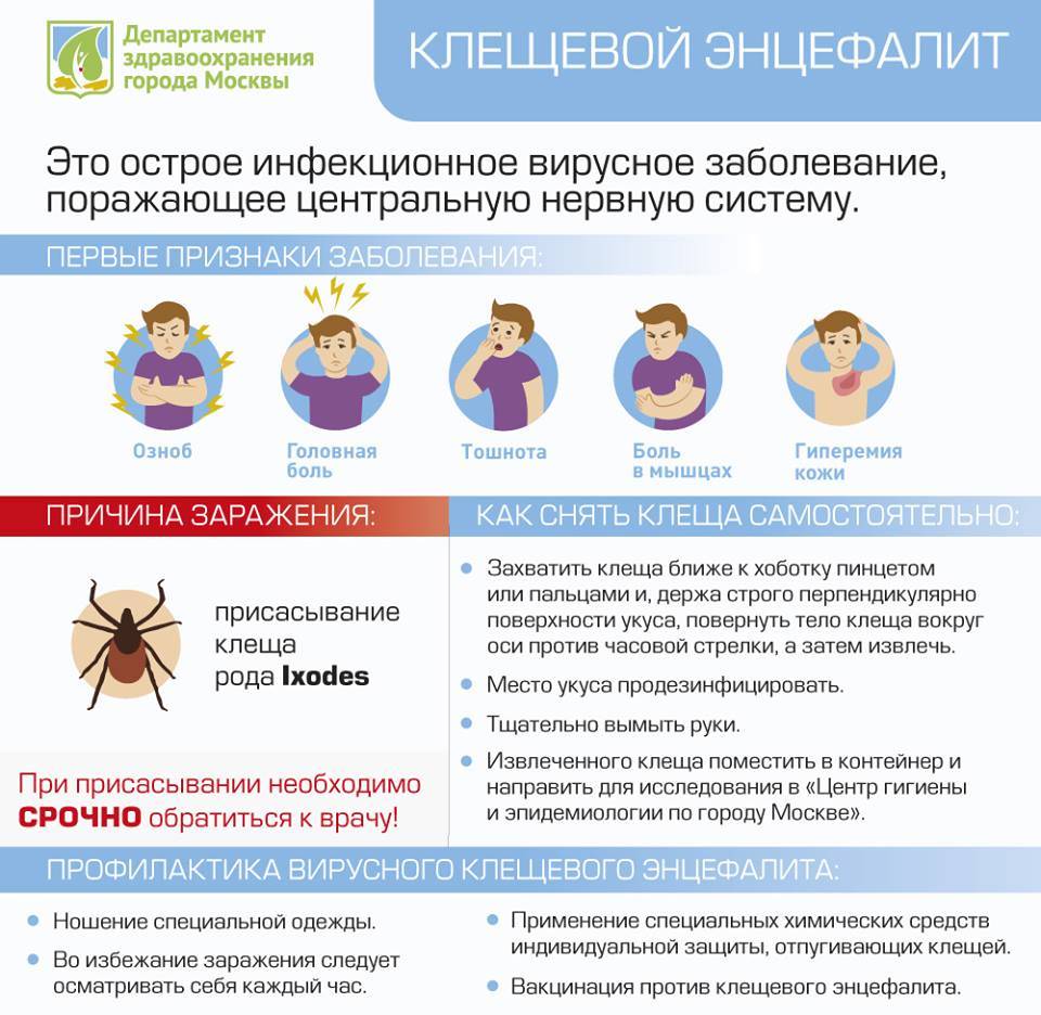 Симптомы и лечение энцефалита - medside.ru