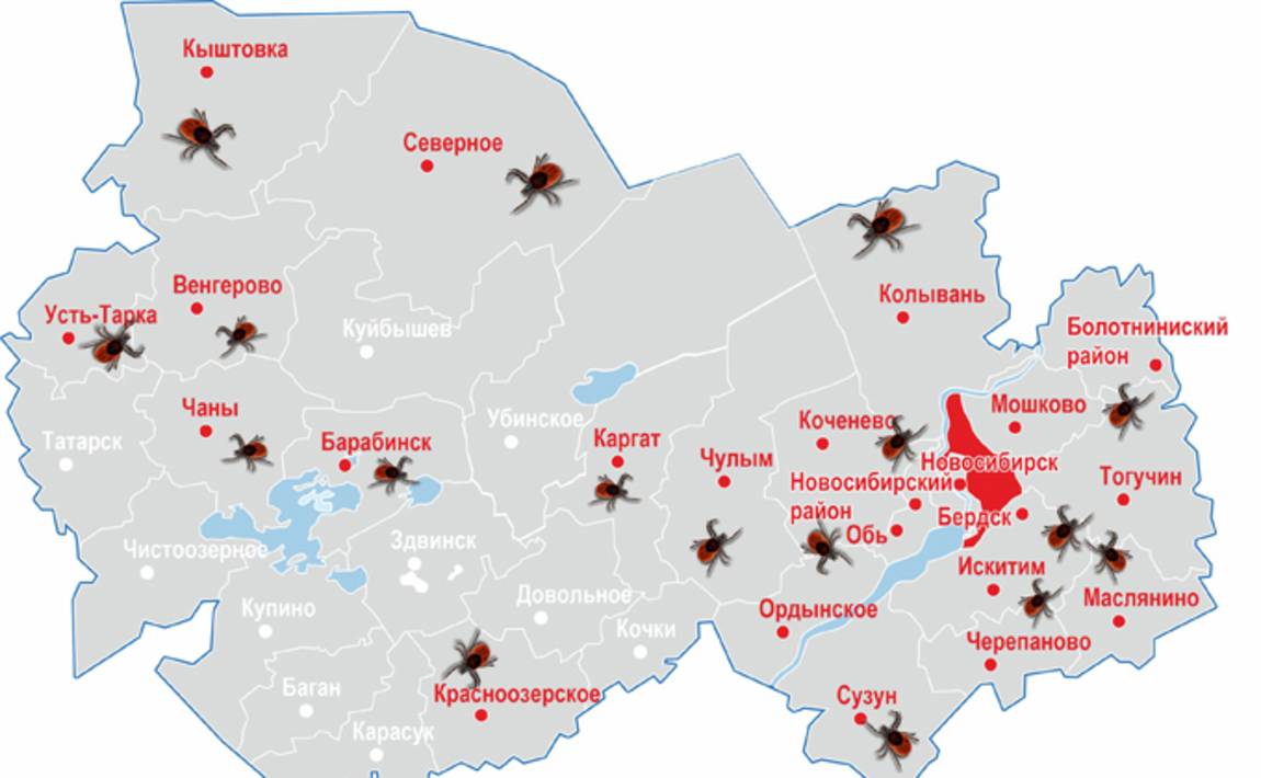 Клещи в подмосковье и москве в 2021 году: самые опасные районы