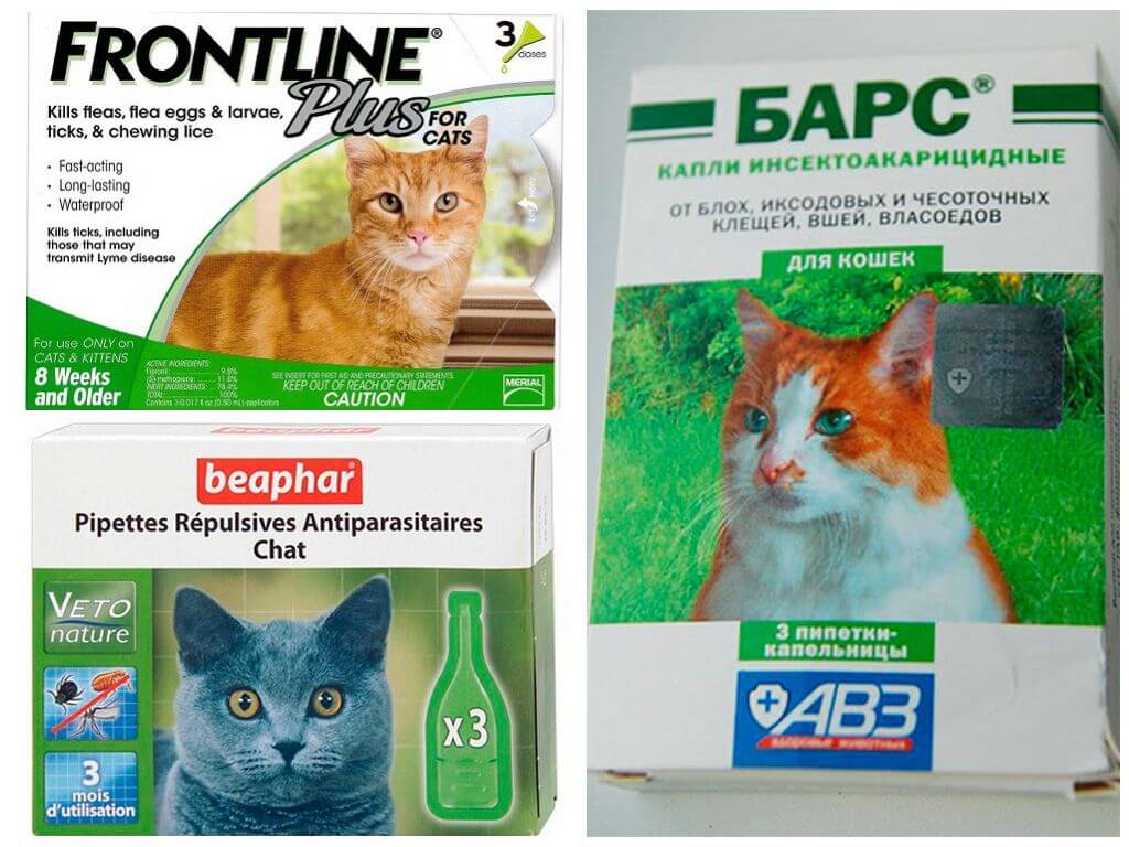 Фиприст для кошек: показания и инструкция по применению, отзывы, цена