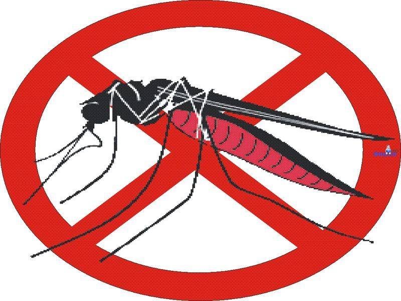 К чему снится комар - значение сна комар по соннику