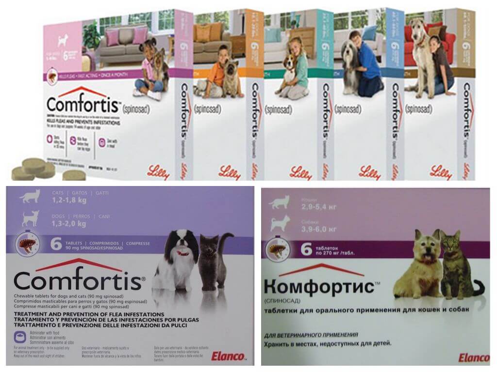 Какие выбрать таблетки от блох для собак и кошек?