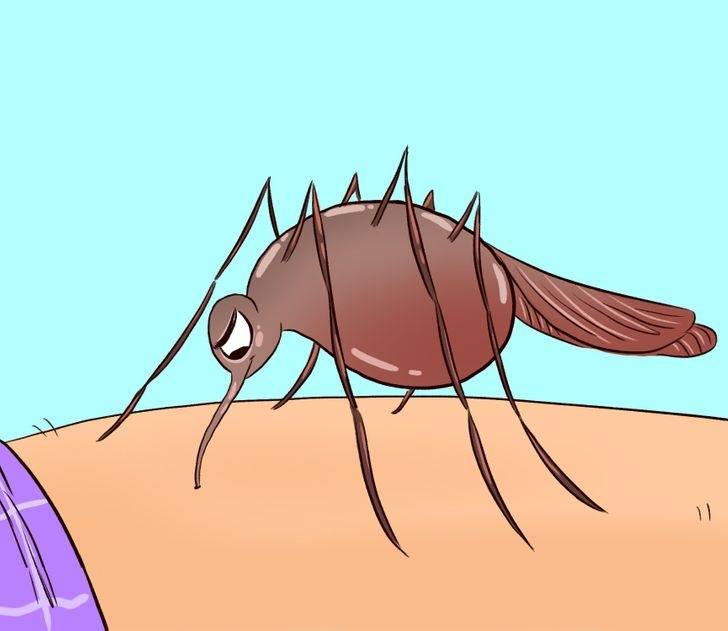Как вытащить комара из уха