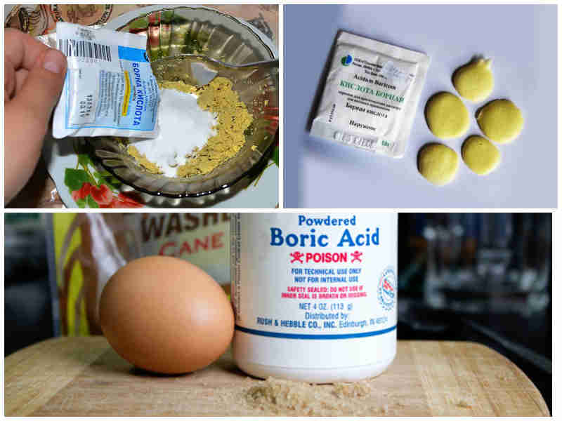 Борная кислота от тараканов: рецепты, в том числе шарики и приманки с использованием яиц + фото и видео