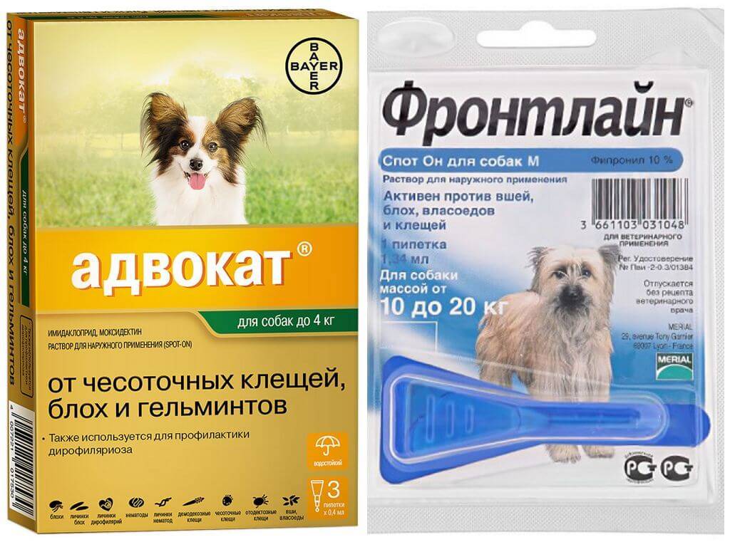 Таблетки от блох для собак и кошек
