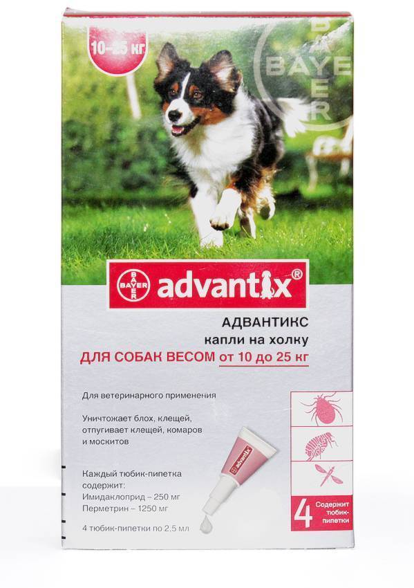 Адвантикс для собак: инструкция, применение, отзывы