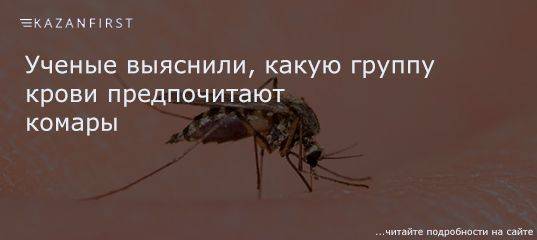 Комары какая группа крови. Чего не любят комары. Какую кровь больше любят комары.