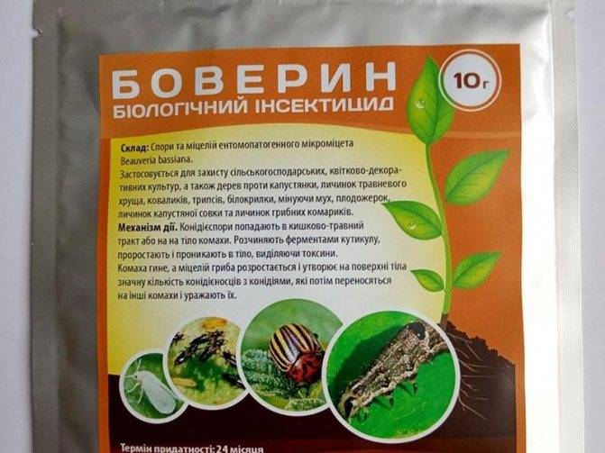 Бактериальные фунгициды | справочник пестициды.ru