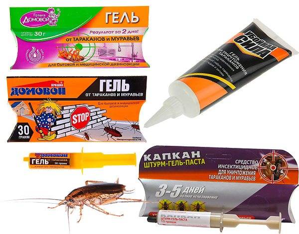 Эффективное средство от тараканов: список гелей, аэрозолей, порошков + отзывы