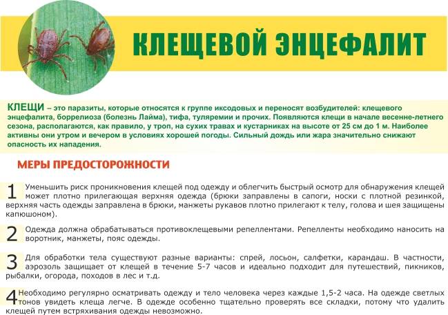 Тест на болезнь лайма – причины ложноположительных и отрицательных результатов