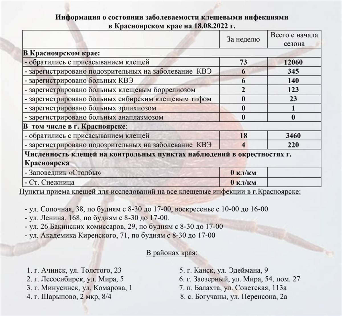 Что делать, если укусил клещ, какие анализы сдавать